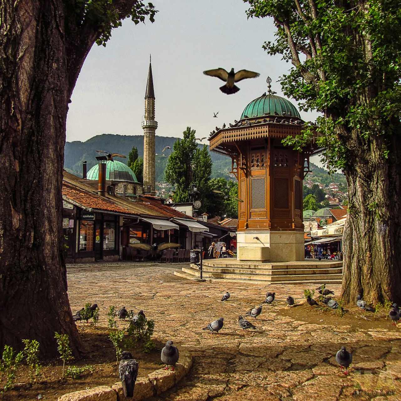 Bosnian Tours